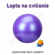 Gymnastická lopta - GYM BALL 65cm s pumpou strieborná